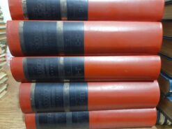 Coleção Novo Dicionário Brasileiro Melhoramentos 5 Volumes