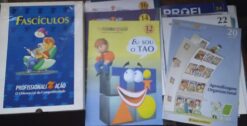 Box Com 39 Fascículos Profissional Em Ação