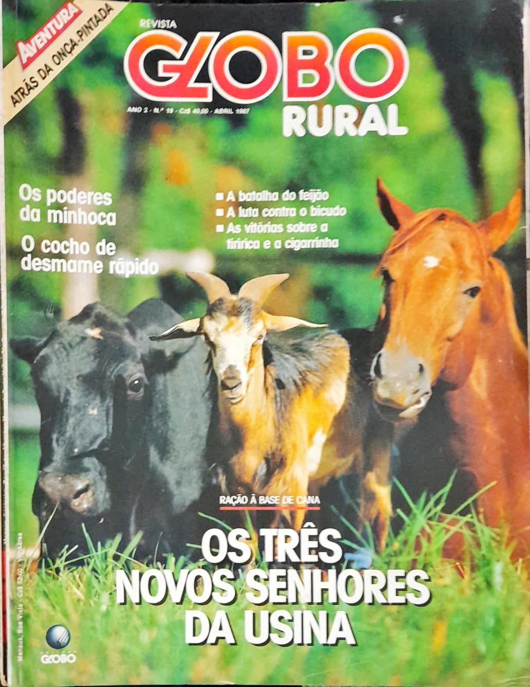 Revista Globo Rural, Dezembro De 2007, Nº 266