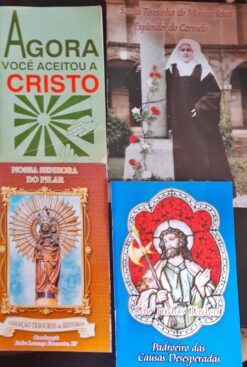 Agora Você Aceitou Cristo + Santa Terezinha + N Senhora Pilar + Causas