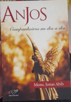 Anjos - Companheiros no Dia a Dia - Jonas Abib