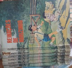 Coleção Monteiro Lobato 6 Volumes A