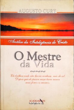 O Mestre Da Vida - Augusto Cury