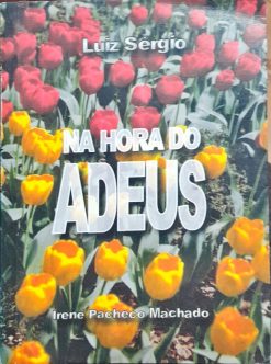 Na Hora Do Adeus - Irene Pacheco Machado 3ª Ed.