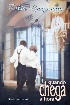 Quando Chega A Hora - Zibia Gasparetto 32ª Ed.