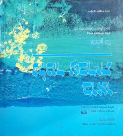 Dictionnaire Arameen-Hebreu: Par Le Rabbin - Ezra Tsion Melamed