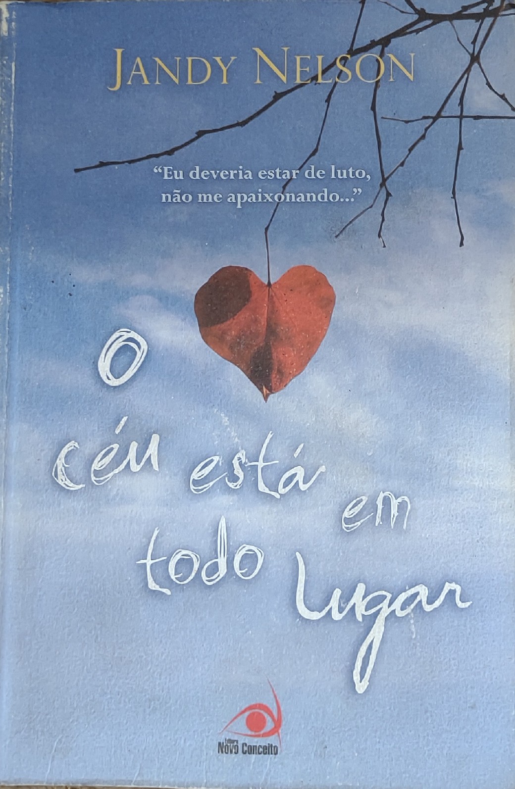 Céu Esta Em Todo Lugar - Jandy Nelson