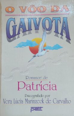 O Vôo da Gaivota - Vera Lúcia Marinzeck de Carvalho 1ª ed.