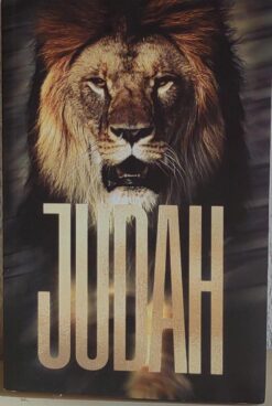 Bíblia Sagrada Judah - Nova Versão Internacional 1ªed.